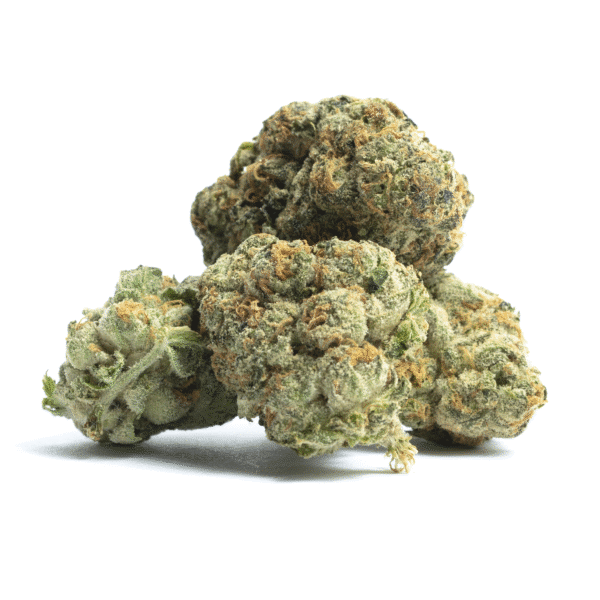 Mohan Ram Auto Feminised Seeds