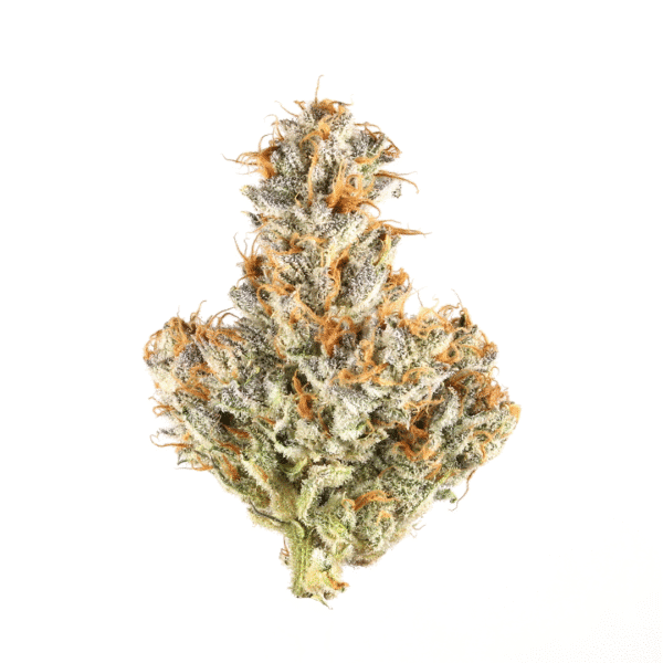 Mendo Breath Feminised Seeds