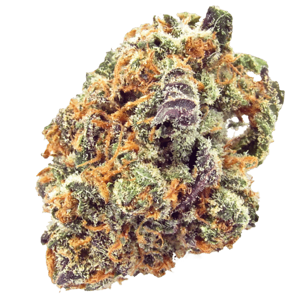 Mimosa Feminised Seeds