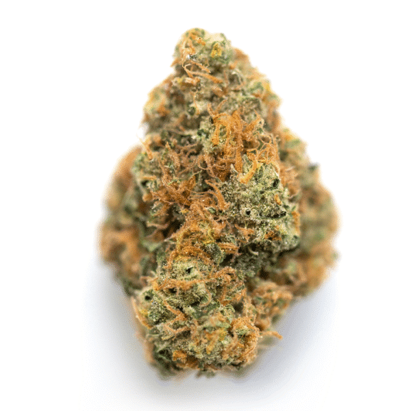 New Money Feminized Seeds