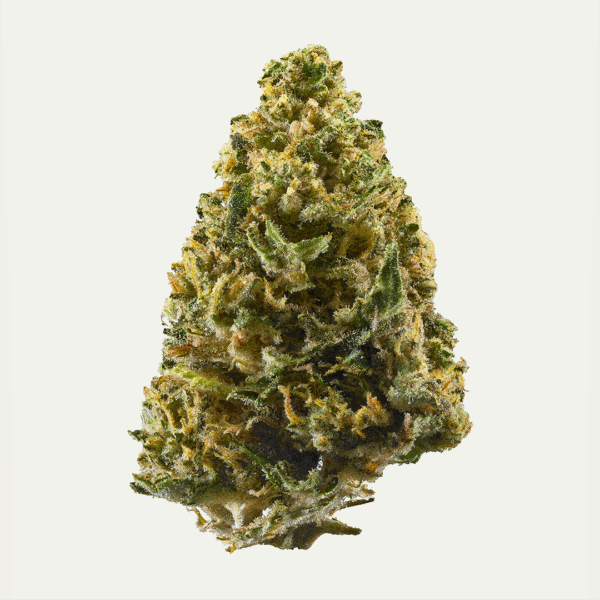 Northern Lights Auto Feminised Seeds