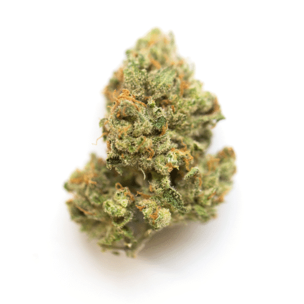 Original Critical Auto Feminised Seeds