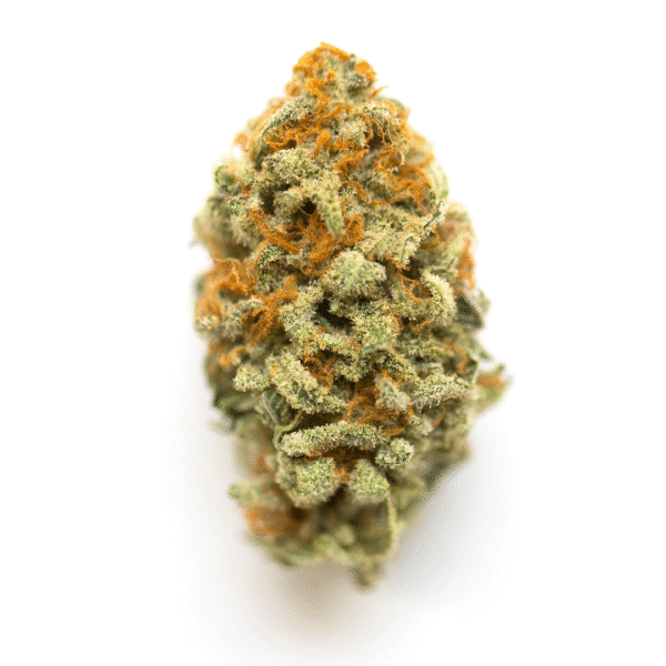 Apple Blossom Feminised Seeds