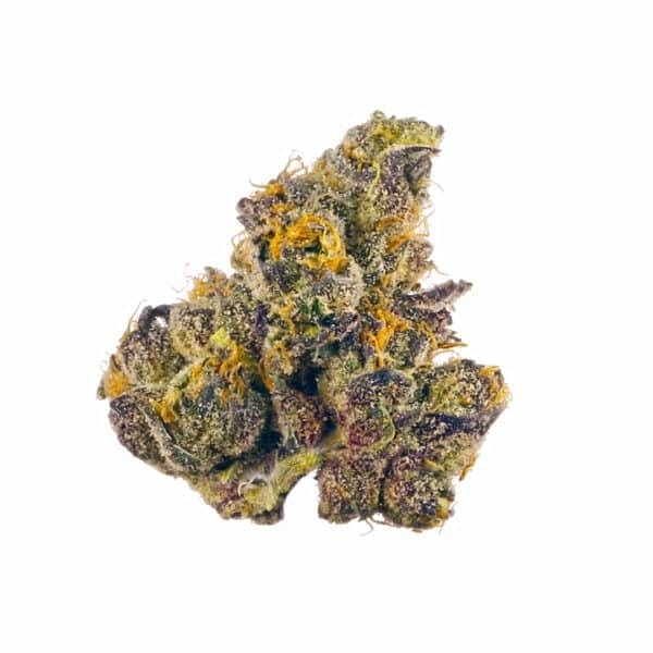 Orange Sherbert Feminised Seeds