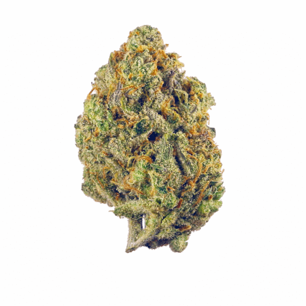 Papaya Candy Fast Feminised Seeds