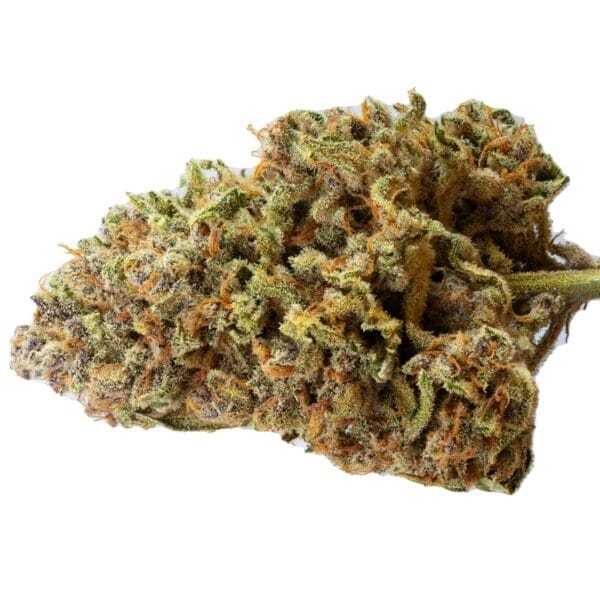 Papaya Zoap F1 FAST Feminised Seeds
