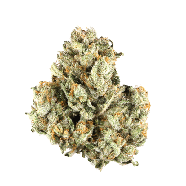Epic Buzz Auto Feminised Seeds