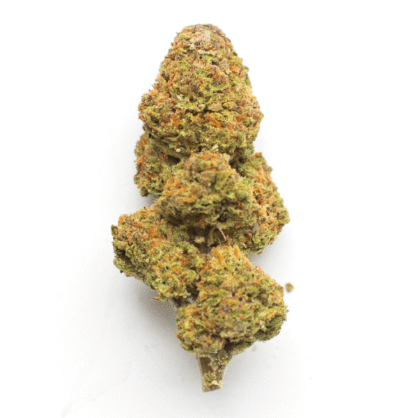 Girl Scout Cookies (aka Cookies) Auto Feminized Seeds