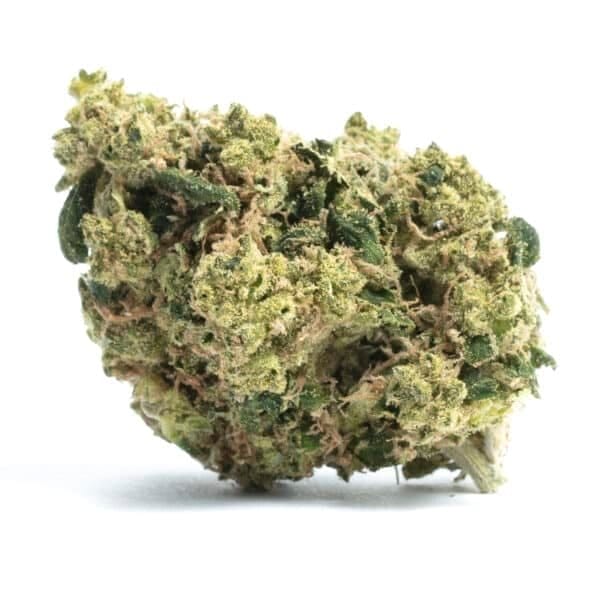 Pineapple Punk Feminised Seeds
