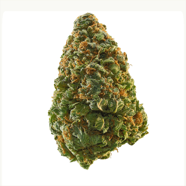 Pineapple Diesel Auto Feminised Seeds