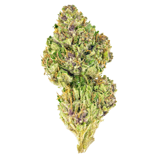 Pink Kush Feminised Seeds