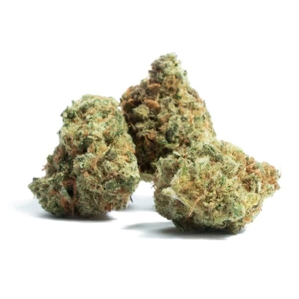 Pink LemonAid S1 Feminised Seeds