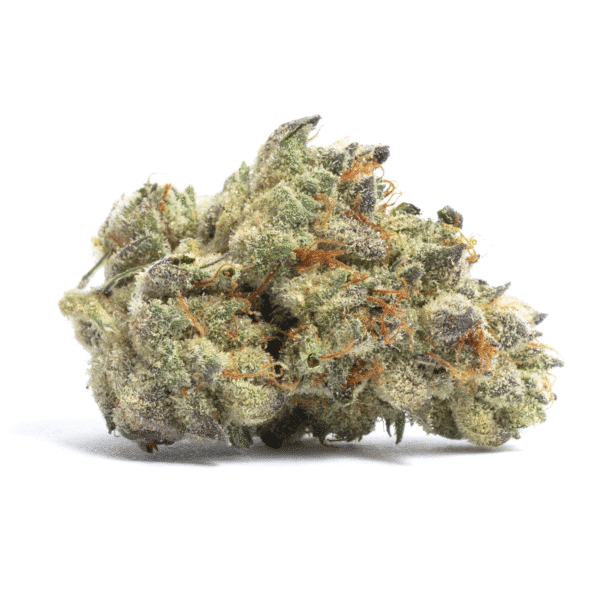 Crazy Train FAST Feminised Seeds