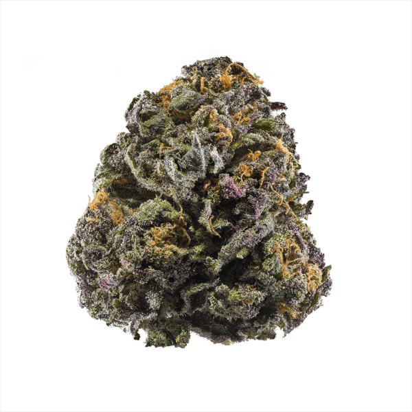 Red Poison Auto Feminised Seeds