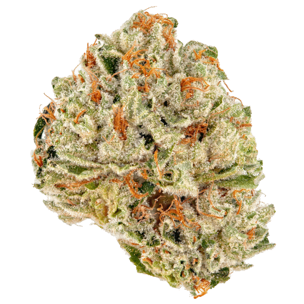 Royal Highness CBD Feminised Seeds