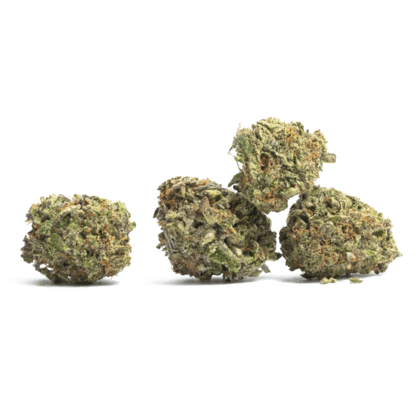 Sensi Skunk Auto Feminised Seeds