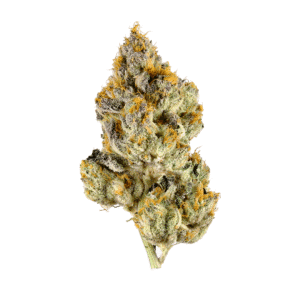 00 Skunk Feminised Seeds
