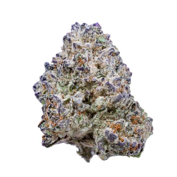 Slurpicane FAST Feminised Seeds
