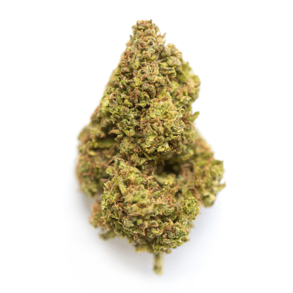 Sour Affie Regular Seeds