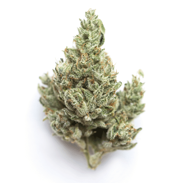 Strawberry Gum Auto Feminised Seeds