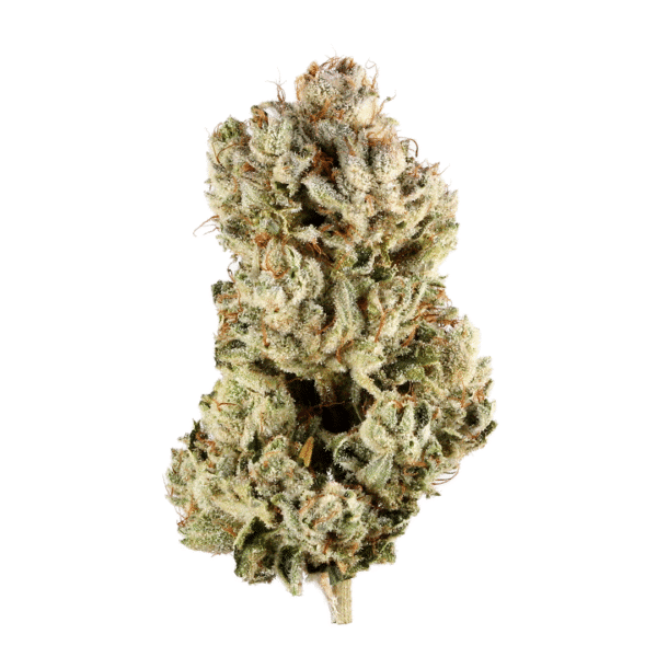 Strawberry Sugar Feminized Seeds