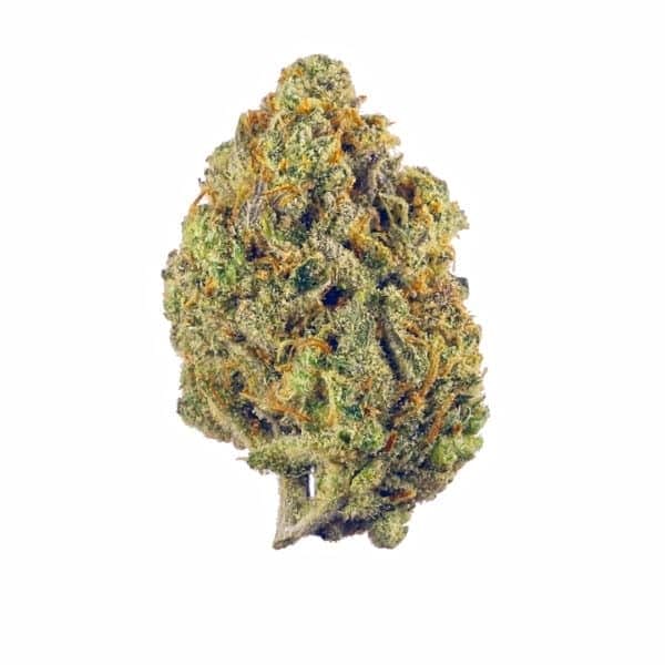 Super Malawi Haze Regular Seeds