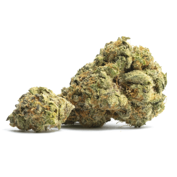 Supreme Planet Feminised Seeds