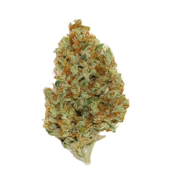 Sweet Cheese F1 FAST Version Feminised Seeds