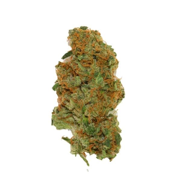 Sweet Zenzation XL Auto Feminised Seeds
