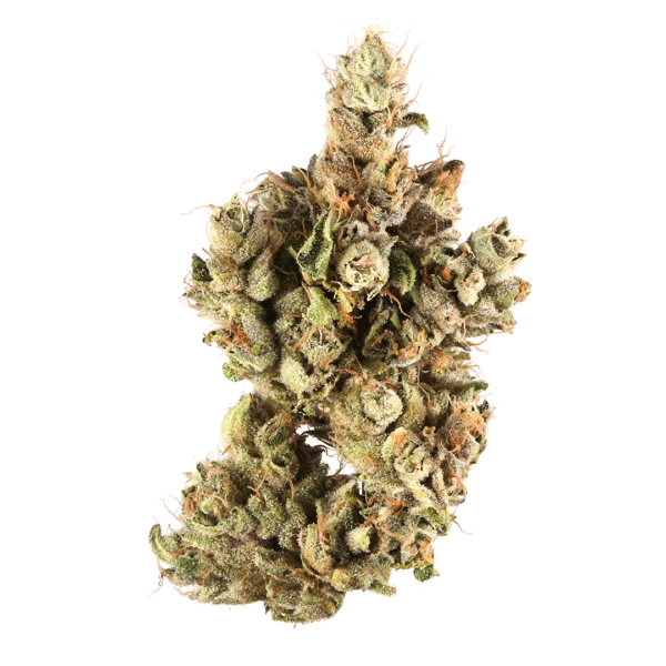 Moweeto Feminised Seeds