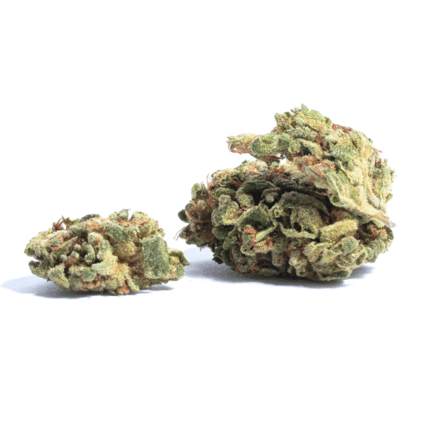 Thai THCV Regular Seeds