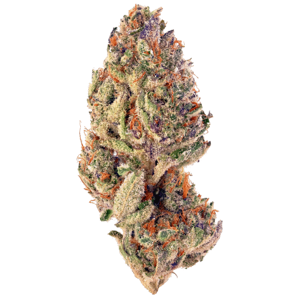 Tropicana Cookies Purple Auto Feminised Seeds