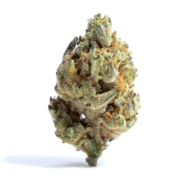 Oaxaca A5 Haze Feminised Seeds