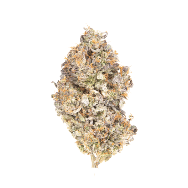 Thundersnow Feminised Seeds
