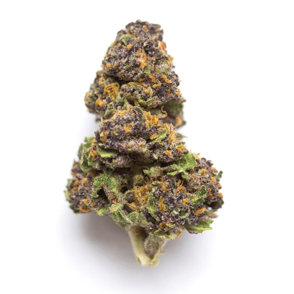 Violet Face Feminised Seeds