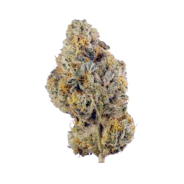 Wedding Cake Feminised Seeds