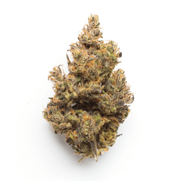 Iced Sangria Feminised Seeds