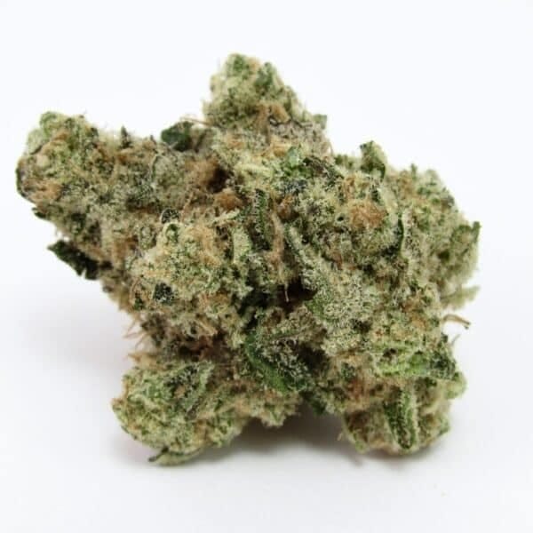 Z-Up Auto Feminized Seeds