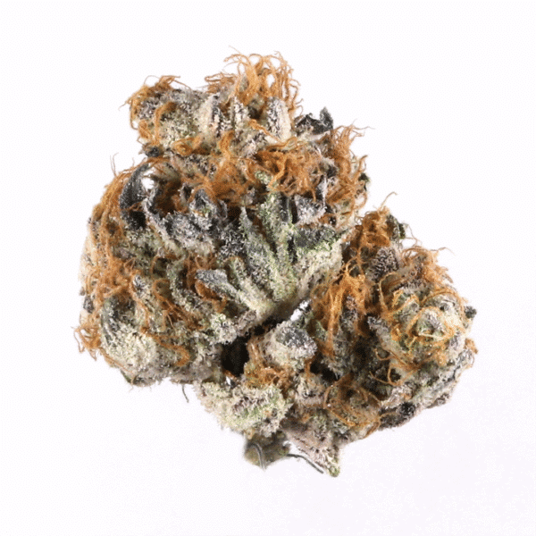 Original Afghan Kush Auto Feminised Seeds